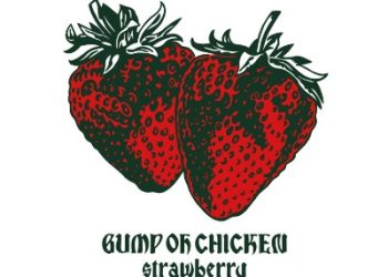 Saionji-san wa Kaji wo Shinai Theme Song – Strawberry / BUMP OF CHICKEN [FLAC 96kHz/24bit]