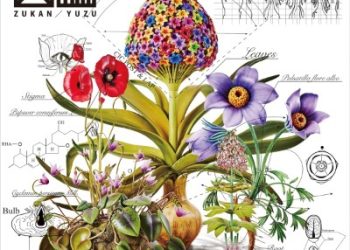 Yuzu 18th Album – Zukan [FLAC]