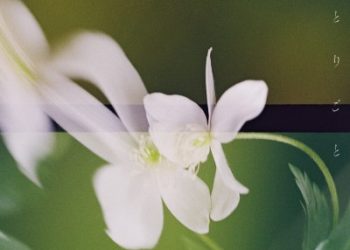 TV Anime Kusuriya no Hitorigoto 2nd Season ED2 – Hitorigoto / Omoinotake [FLAC 96kHz/24bit]