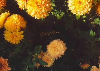 TV Anime Zutaboro Reijou wa Ane no Moto Konyakusha ni Dekiai sareru ED – Marie / Myuk [FLAC 96kHz/24bit]