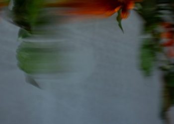 Movie Anime Housenka OP – Moving Still Life / cero [FLAC 48kHz 24bit]