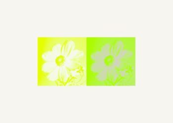 Megumi no Daigo Kyuukoku no Orange – Perfect World / LMYK [FLAC 48kHz 24bit]