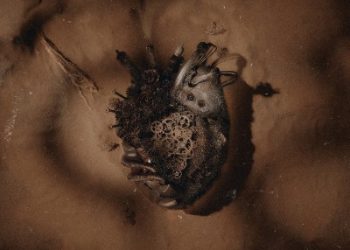 Ishura OP Theme – Shura ni Otoshite / sajou no hana [FLAC 96kHz/24bit]