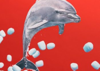 Aimyon – Rhythm 64 [FLAC 96kHz 24bit]