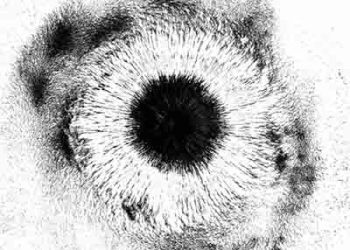 Riko Azuna – Katachi (MADE IN ABYSS: Retsujitsu no Ougonkyou OP) [FLAC + MP3]