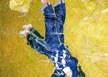 Aoi Yamazaki – ROOTS (Album) [FLAC + MP3]