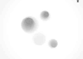 Official Hige Dandism – Subtitle (Digital Single) [FLAC + MP3]