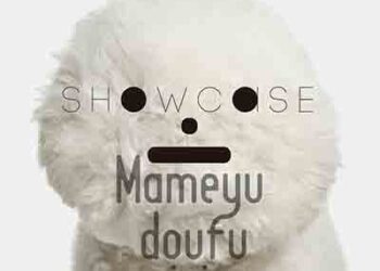 MEGAREX (Mameyudoufu) – SHOWCASE (Album) [FLAC + MP3]