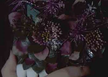 Hinataaya – Monster In Me (Digital Single) [FLAC + MP3]