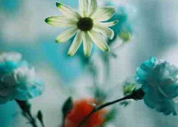 Homecomings – Arpeggio (Digital Single) [FLAC + MP3]