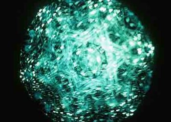 Regal Lily 2nd Album – C toshiikerumono [FLAC + MP3]