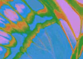 DAOKO & Yohji Igarashi – MAD (Mini Album) [FLAC + MP3]