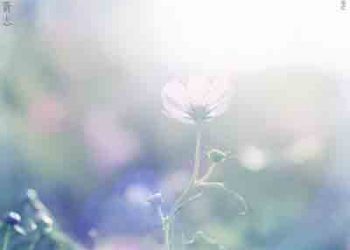 Soushi Sakiyama – Kasokeki (Digital Single) [FLAC + MP3]