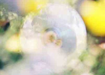 Centimillimental – Hikarinonakakaratsutaetaikoto／Tokyotokkyokyokakyoku (Digital Single) [FLAC + MP3]